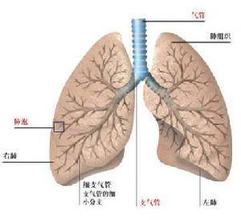 毛細支氣管炎