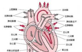 心房顫動