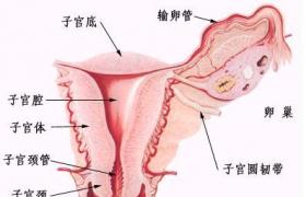 滴蟲性陰道炎