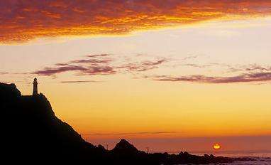 帕利斯爾角燈塔 Cape Palliser Lighthouse