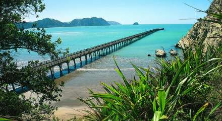 圖拉戈灣碼頭 Tolaga Bay Wharf