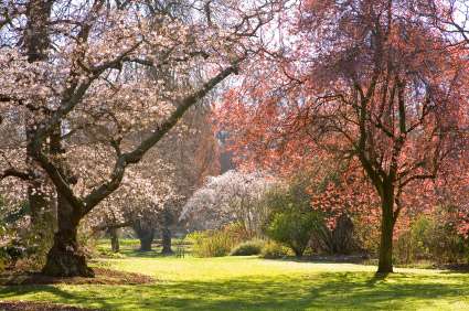 哈古雷公園 Hagley Park