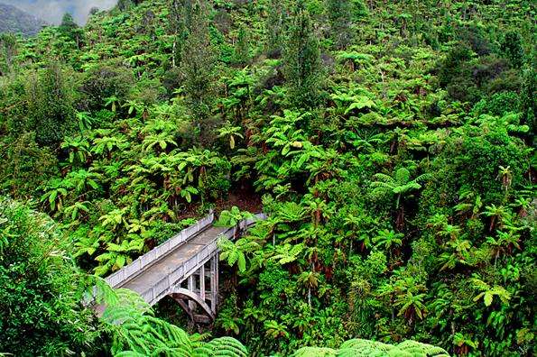 旺格努伊國傢公園 Whanganui National Park