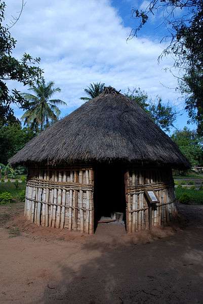 坦尚尼亞國傢博物館 National Museum of Tanzania