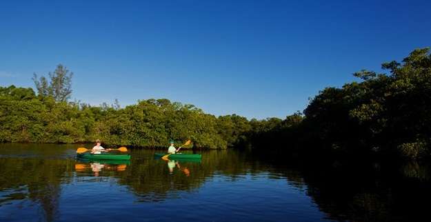 戈登河 Gordon River