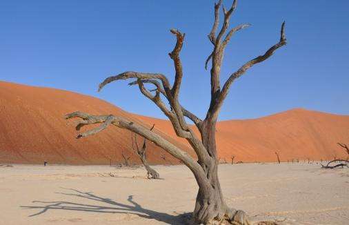 納米佈沙海 Namib Sand Sea