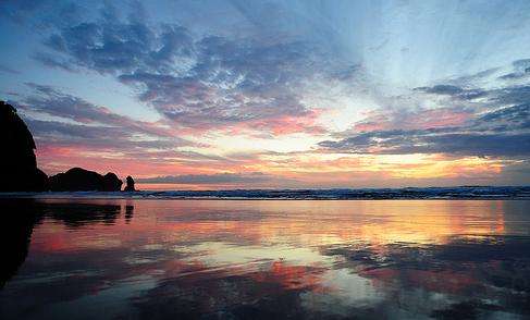 皮哈海灘 Piha Beach