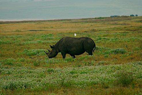 林波波國傢公園 Limpopo National Park