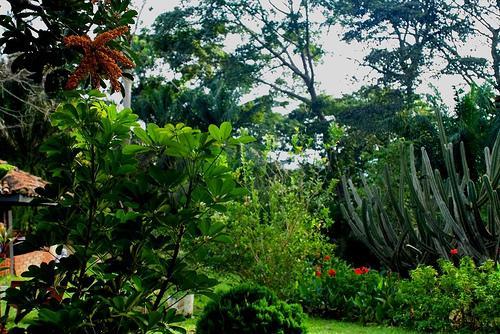 阿佈裡植物園 Aburi Botanical Gardens