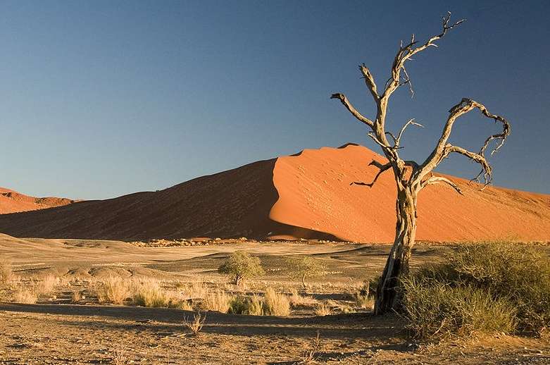 納米佈沙漠 Namib Desert