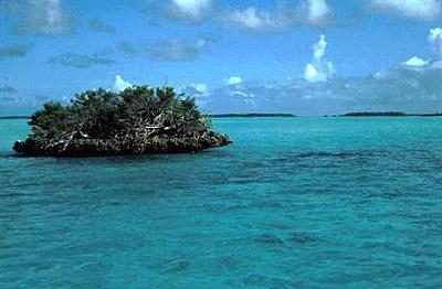 阿爾達佈拉環礁 Aldabra Atoll
