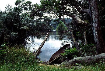 伊溫多河國傢公園 Ivindo National Park