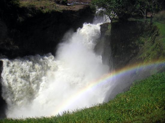 默奇森瀑佈國傢公園 Murchison Falls National Park