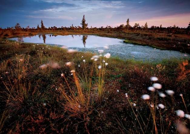 凱麥裡國傢公園 emeri National Park