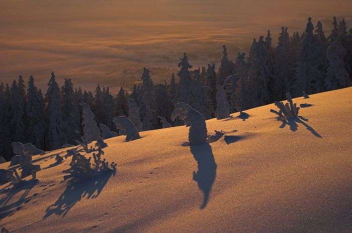 克爾科諾謝山國傢公園 Karkonosze National Park