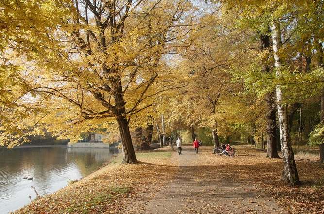 德累斯頓大花園 Groer Garten Dresden