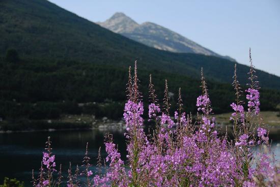 皮林國傢公園 Pirin National Park