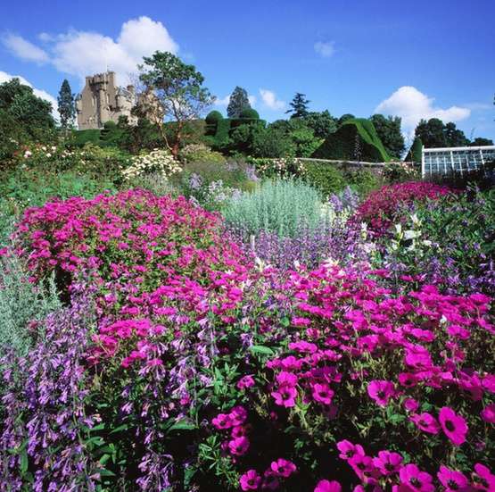 克雷斯城堡 Crathes Castle