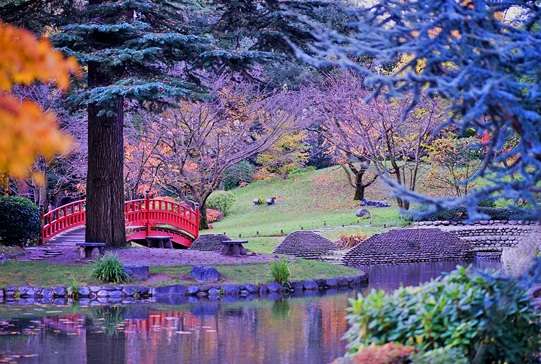 阿爾伯特卡恩博物館與花園 Albert Kahn Museum and Gardens