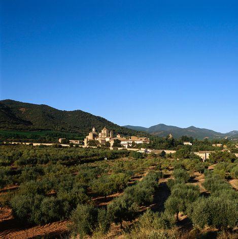 波夫萊特修道院 Poblet Monastery