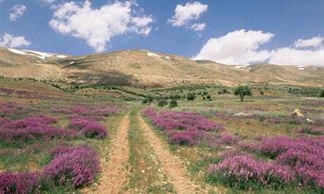 貝卡谷地 Bekaa Valley