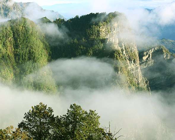 阿裡山風景區 Alishan National Scenic Area