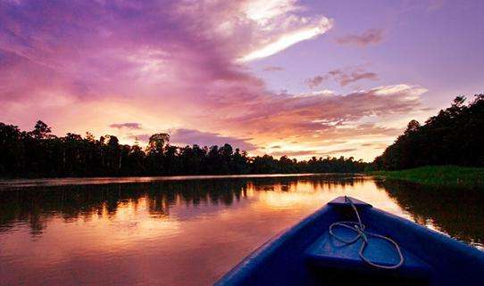 京那巴當岸河 Kinabatangan River