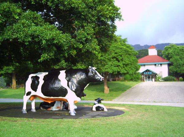 飛牛牧場 Feiniu Cow Ranch