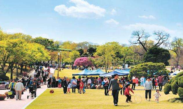 大邱頭流公園 Daegu Duryu Park