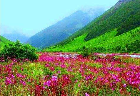 大喜馬拉雅山脈國傢公園 Great Himalayan National Park