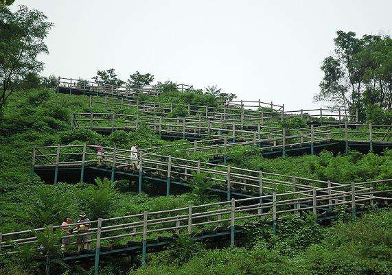 藍天公園 Haneul Park