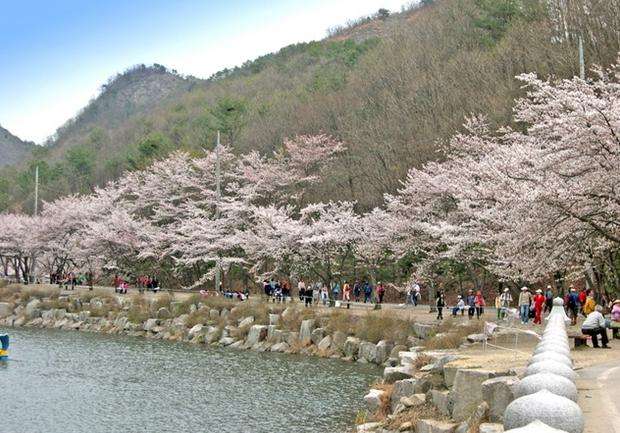 馬耳山道立公園 Mt.Maisan Provincial Park