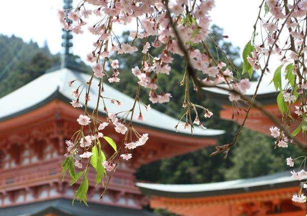延歷寺 Enryaku-ji