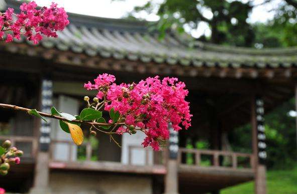 鳴玉軒苑林 Myeongokheon Garden