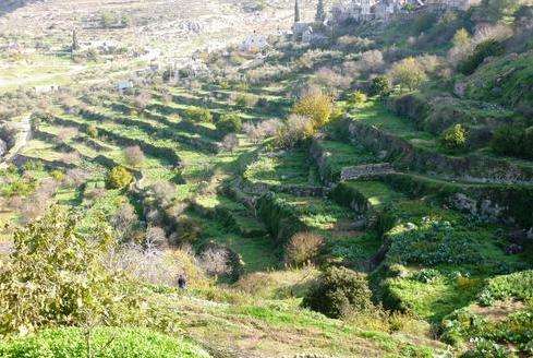 橄欖與葡萄酒之地—南耶路撒冷文化景觀 Palestine Land of Olives and Vines–Cultural Landscape of Southern Jerusalem Batti
