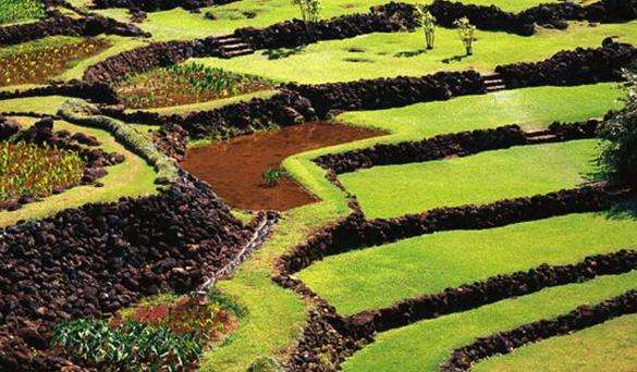 利馬互利花園和自然保護區 Limahuli Garden and Preserve