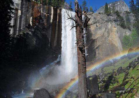 春天瀑佈 Vernal Fall