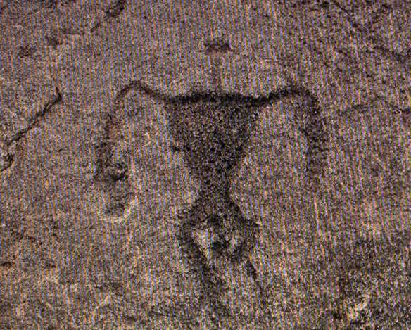 帕科巖畫考古保護區 Puako Petroglyph Archaeological Preserve