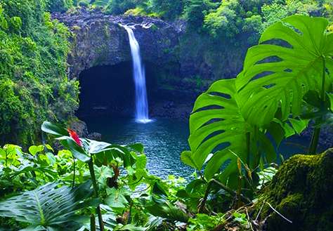 夏威夷彩虹瀑佈 Rainbow Falls Hawaii