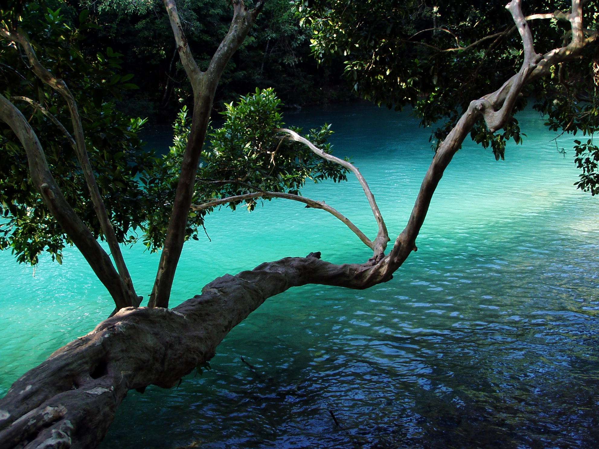 藍水河瀑佈 Blue-water FallsAgua Azul