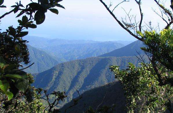 藍山－約翰·克羅山脈 Blue and John Crow Mountains