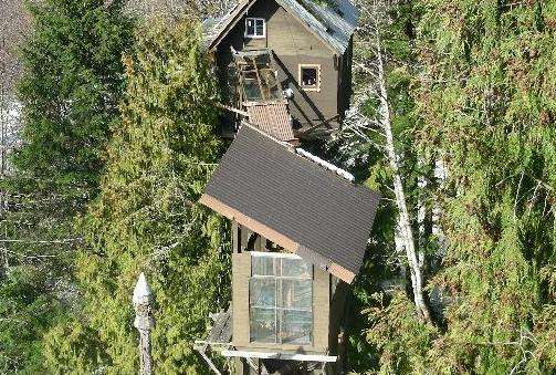 雪松樹屋酒店 Cedar Creek Treehouse