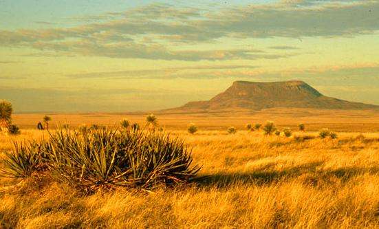 瓜達羅佩山國傢公園 Guadalupe Mountains National Park