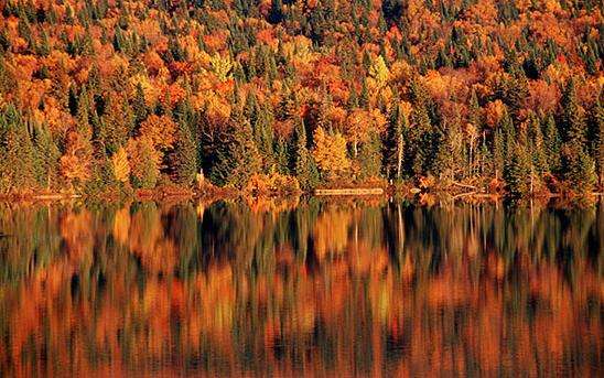 蒙特朗佈朗國傢公園 Mont-Tremblant National Park