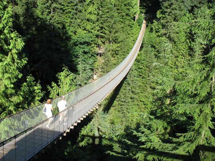 卡皮拉諾吊橋公園 Capilano Suspension Bridge and Park