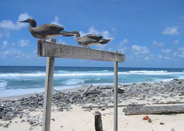 科科斯島國傢公園 Cocos Island National Park