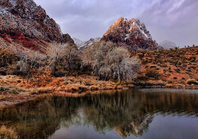 斯普林山農場州立公園 Spring Mountain Ranch State Park