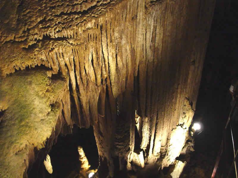 猛瑪洞穴國傢公園 Mammoth Cave National Park