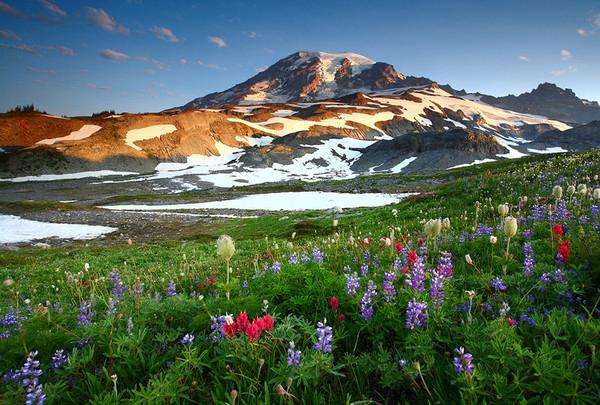 瑞尼爾山國傢公園 Mount Rainier National Park