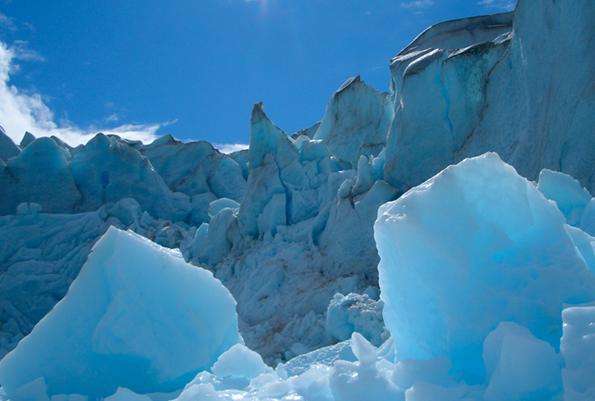 冰川灣國傢公園 Glacier Bay National Park and Preserve